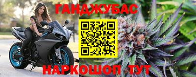 гидра Гай